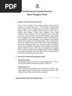 Download PROFIL INVESTASI PROVINSI NUSA TENGGARA TIMUR 2009pdf by Vicky Ceunfin SN200847085 doc pdf