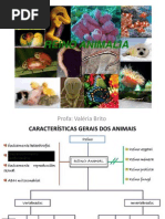 Aula 1 - Reino Animal