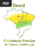 CONSTELAÇÕES FAMILIARES - COMPLETO