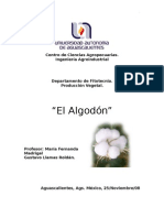 Monografia Del Algodon