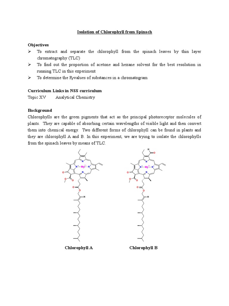 Isolation of Chlorophyll e PDF Thin Layer Chromatography Chromatography