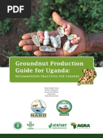 Download Groundnut Production Guide - Recommended Practices for Farmers by Ssemwogerere Charles SN200892264 doc pdf