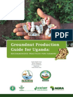 Groundnut Production Guide - Recommended Practices For Farmers