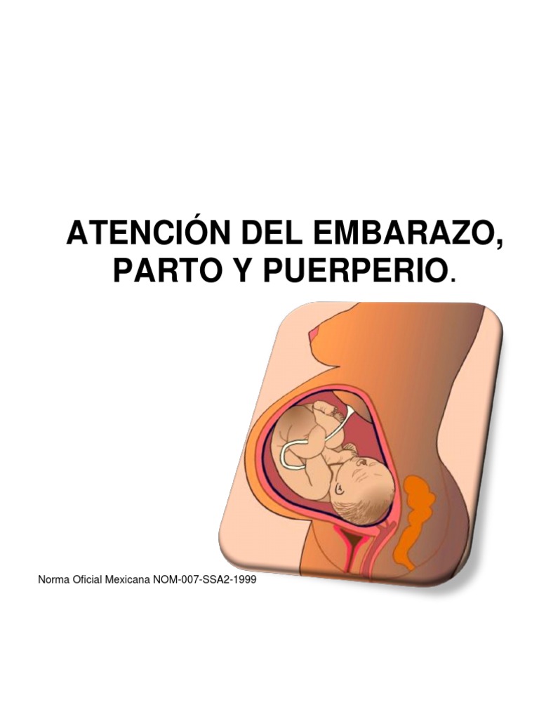 Atención Integral: Embarazo, Parto y Puerperio | PDF | Parto | Periodo ...