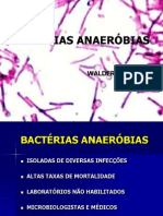 anaerbios-fmj-2010-110717172355-phpapp01