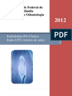 Endodontia_ProfBiffi(1)_09_04_2012