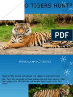 Tiger Powerpoint