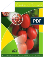 bacterialcanker TOMATE.pdf