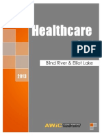 AWIC Healthcare Report For Elliot Lake and Blind River - Final