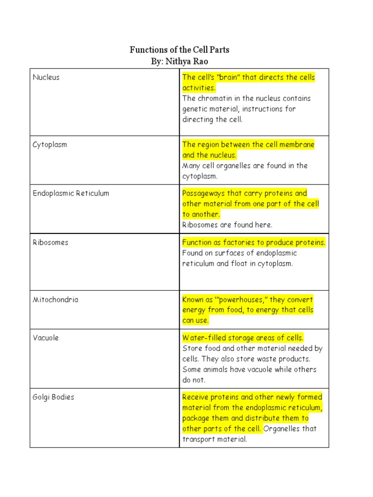 Functions of Cell Organelles Explained | PDF