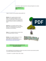 Tipos de Plantas