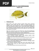 Download budidaya_ikan_beronang by kpakau SN20103897 doc pdf