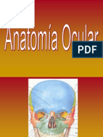 Presentación de Anatomia Ocular