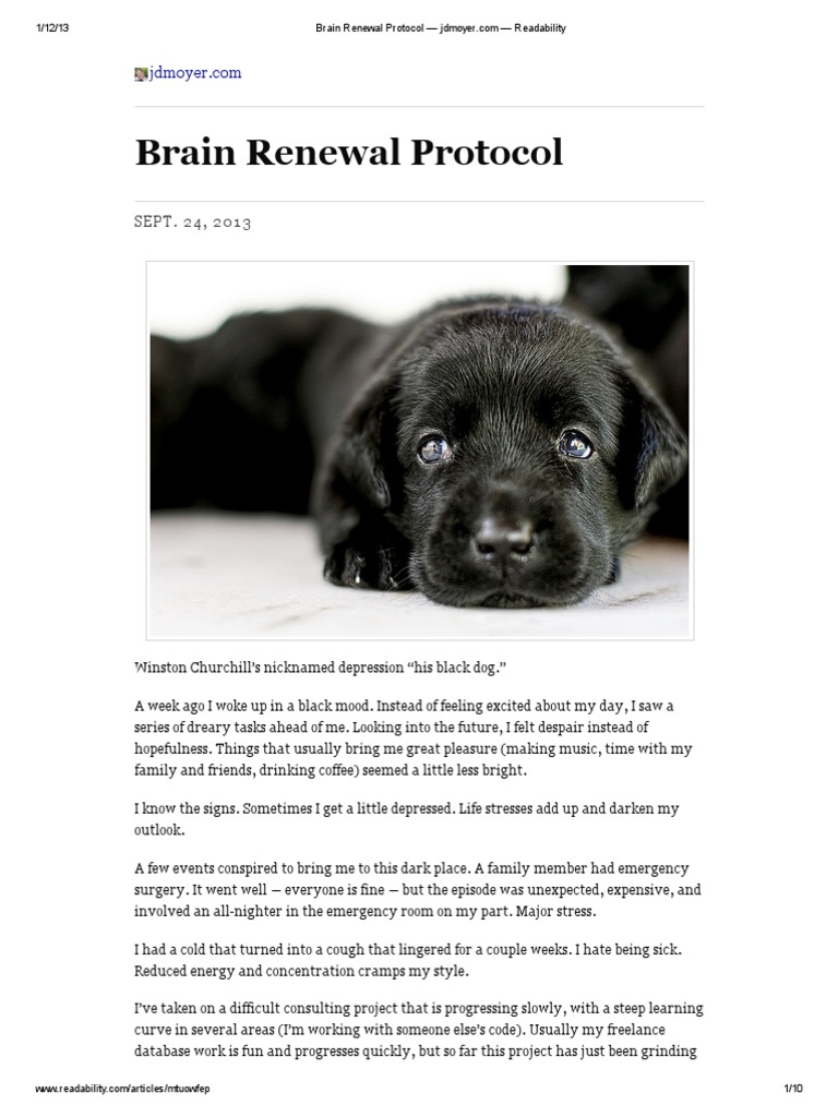 Brain Renewal Protocol for Mood Improvement | PDF | Stress (Biology ...