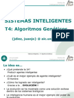 SSII-T4-AlgoritmosGeneticos