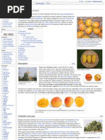 Download About Mango by ismvohra SN20108452 doc pdf