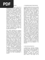 Dignidad de La Persona