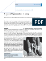 Peer Reviewed: A Case of Hypospadias in A Dog