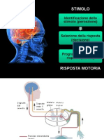 Movimento