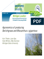 Agronomics of Producing Switchgrass and Miscanthus x Giganteus