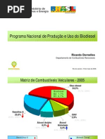 programa brasileiro de biodiesel