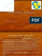 Salcia Energetica