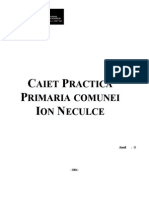 Caiet Practica - Primaria Comunei Ion Neculce