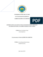 Tesis Informe Final Aflatoxinas(2)