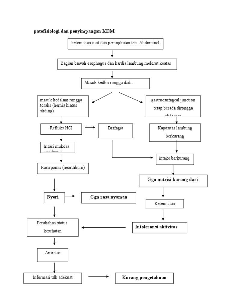 Patofisiologi Disfagia dan Hernia Hiatus | PDF