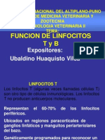 Exposicion de Micro II de Funcion de Linfocitos t y b