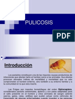 PULICOSIS