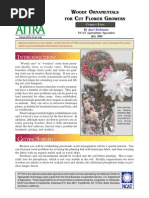 Types and Characteristics of Plant Stems | PDF | Plant Stem | Plants