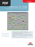 5334_RV-SC-TDM[1]