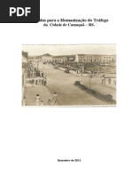 MEDIDAS DE HUMANIZAÇÃO NO TRANSITO DE CAMAQUA DEZ 2013