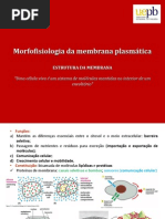 MembranaPlasmática-Karina