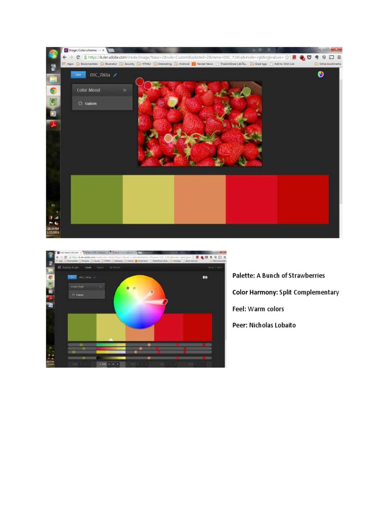 Warm Split Complementary Color Palette | PDF | Social Science