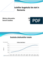 Evolutia Cheltuielilor Bugetului de Stat Prezentare