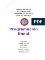 32863776 Programacion Lineal