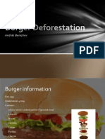 Burger Deforestation