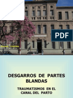 Desgarros de Partes Blandas