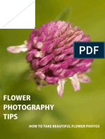 Flower+Photography+Tips+ +How+to+Take+Beautiful+Flower+Photos