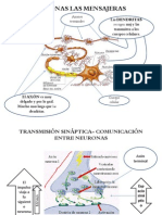 fisiologia