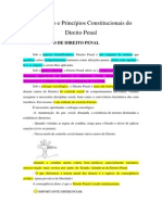 Introdução Direito Penal