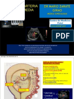 Doppler de Arteria Cerebral Media