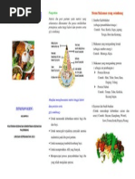 Leaflet Gizi Ibu Post Partum Ok Leaflet Gizi Ibu Post Partum Ok