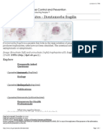 CDC - Dientamoeba Fragilis