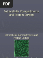 CHPT 12 Intracellular Compartments Anddfd Protein Sorting