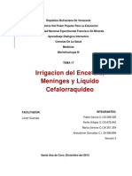 Irrigacion Del Encefalo, Meninges y Liquido Cefalorraquideo