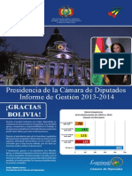 Separata Informe Final de La Gestión 2013 - 2014 - Betty Tejada Soruco