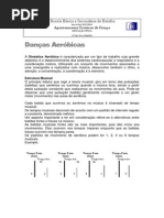 Apoio Teorico de Aerobica